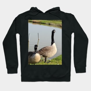 beautiful nature, wild geese, gift Hoodie